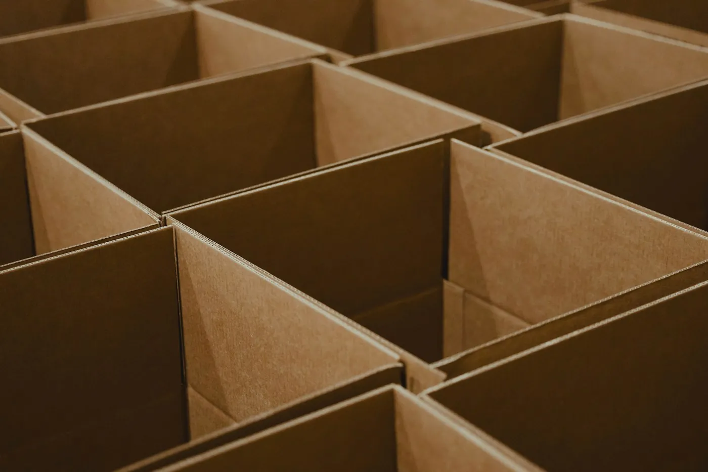 Rows of open shipping cartons seen from above
