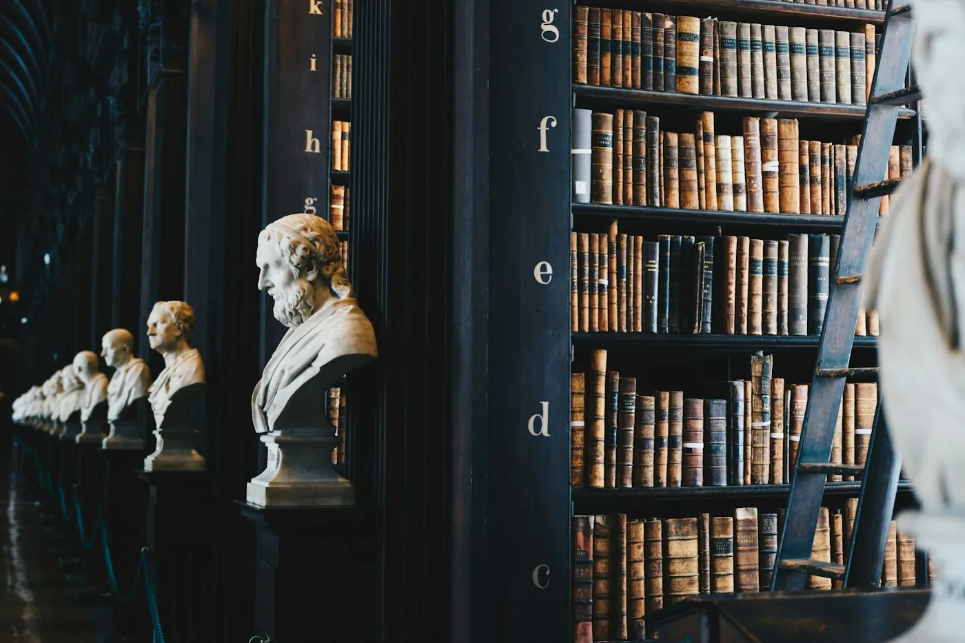 Dark law library shelves of leather-bound books with marble busts